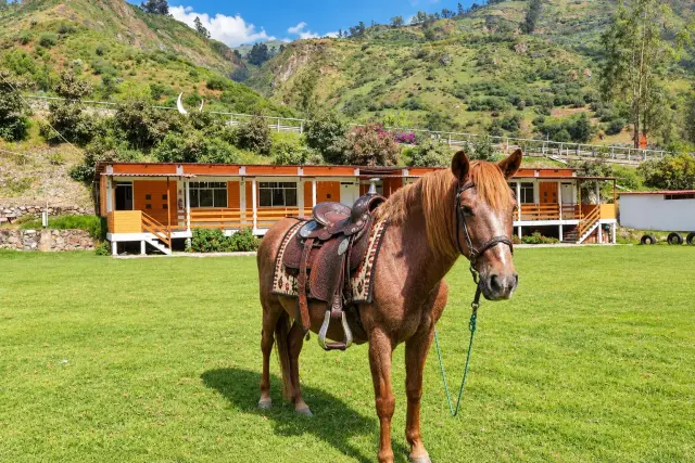 Naturaleza, Confort y Experiencias Únicas🍃 de Tambo Lodge Canta (8 de 13)
